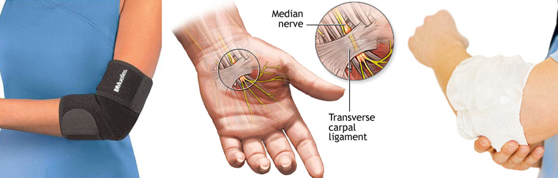 Median nerve and transverse carpal ligament